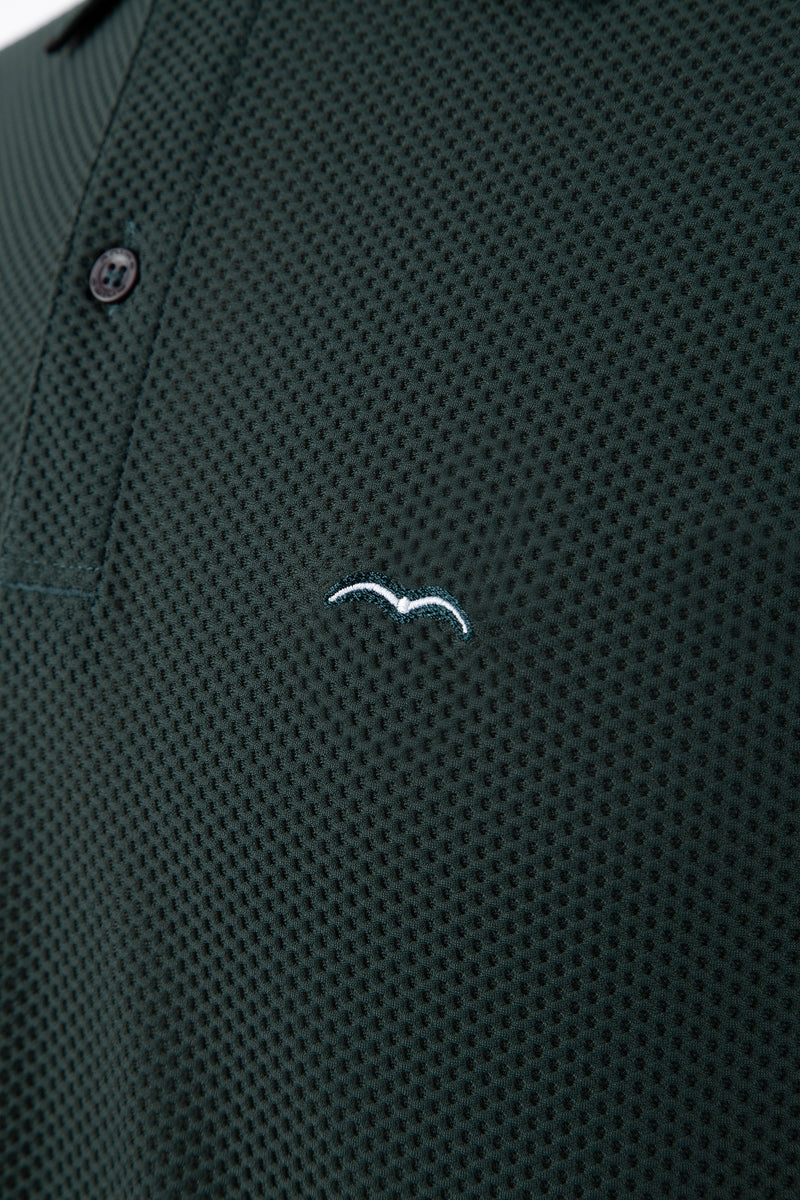 Animo Men's Algee Polo - Green